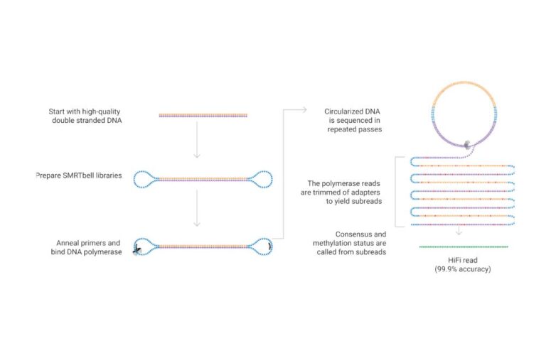 Long Read Sequencing - Lab Solutions by DKSH
