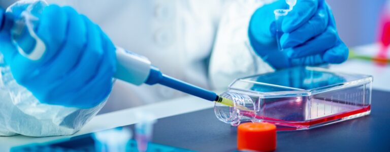 Selecting the Right Cell Culture Media for Research Success 