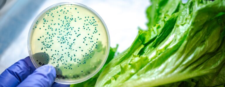 How High Pressure Processing Inactivates Microorganisms and Enzymes in Food 