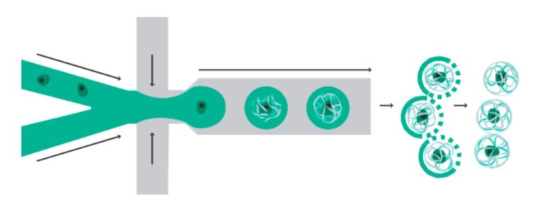 Encapsulating Cells in Free Floating Micro-Scaffolds