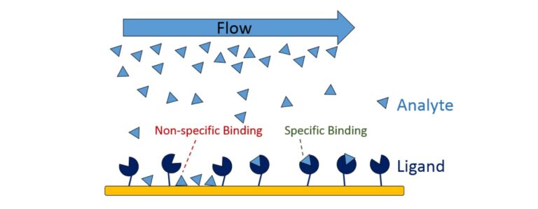 4 Ways To Reduce Non-specific Binding in Surface Plasmon Resonance Experiments