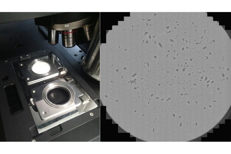 Characterization of Microplastics using Morphologically-Directed Raman Spectroscopy