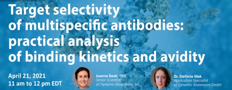 Target Selectivity of Multispecific Antibodies: Practical Analysis of Binding Kinetics and Avidity