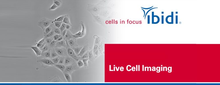 Live Cell Imaging – An Overview for Beginners