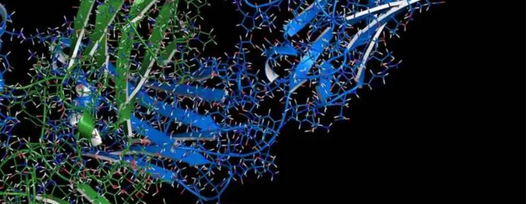 Synthesis and Characterization of Antibody Drug Conjugates