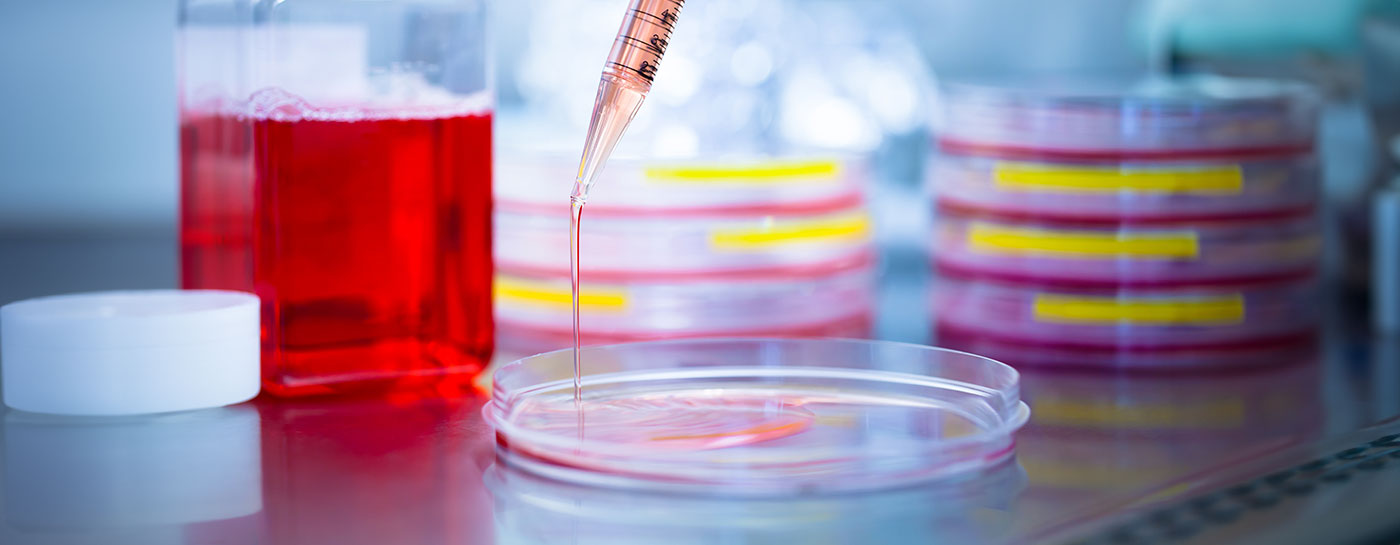 Tailoring Cell Culture Media for Optimal Cell Growth - Lab Solutions by ...