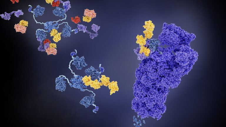 How PROTACs Can Help Eradicate Cancer With Our Body’s Own Recycling System