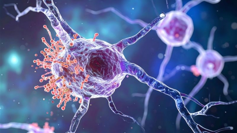 Empowering Biomarker Discovery in Parkinson’s Disease Research
